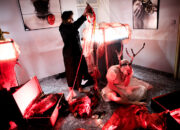 DIALOGI MIŁOŚCI – pamięć pozorna