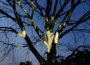 Czułość dokumentu. Obraz jako przestrzeń relacji, doświadczenia i wyobrażenia