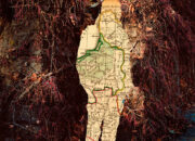 Czułość dokumentu. Obraz jako przestrzeń relacji, doświadczenia i wyobrażenia