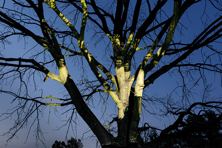 Czułość dokumentu. Obraz jako przestrzeń relacji, doświadczenia i wyobrażenia